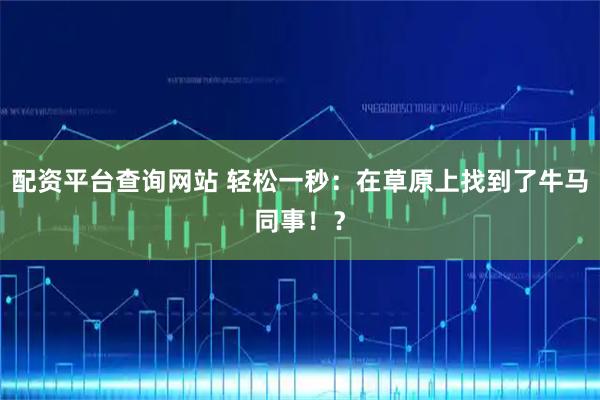 配资平台查询网站 轻松一秒：在草原上找到了牛马同事！？