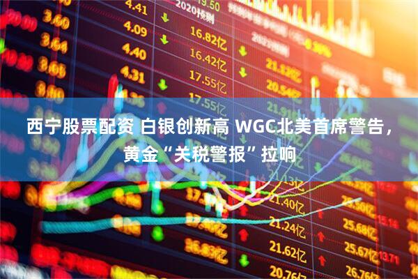 西宁股票配资 白银创新高 WGC北美首席警告，黄金“关税警报”拉响