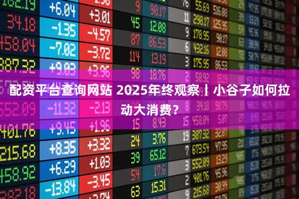 配资平台查询网站 2025年终观察丨小谷子如何拉动大消费？