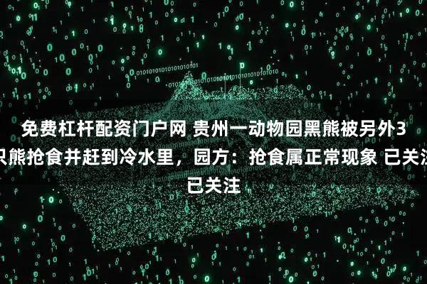 免费杠杆配资门户网 贵州一动物园黑熊被另外3只熊抢食并赶到冷水里，园方：抢食属正常现象 已关注